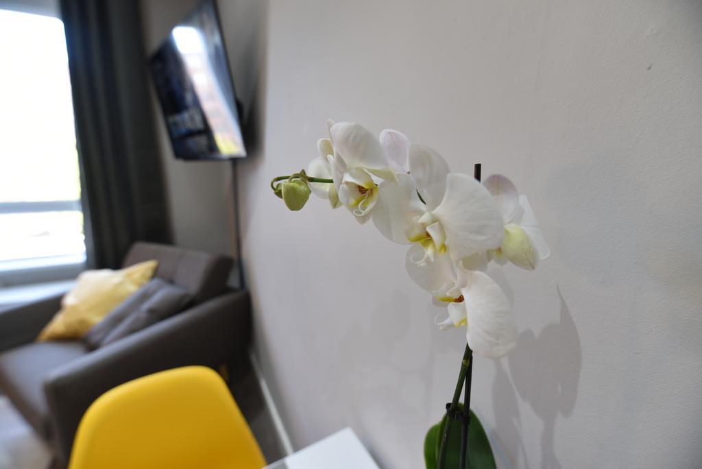 Meadowbank House Luxury Apartment Edinburg Exteriör bild